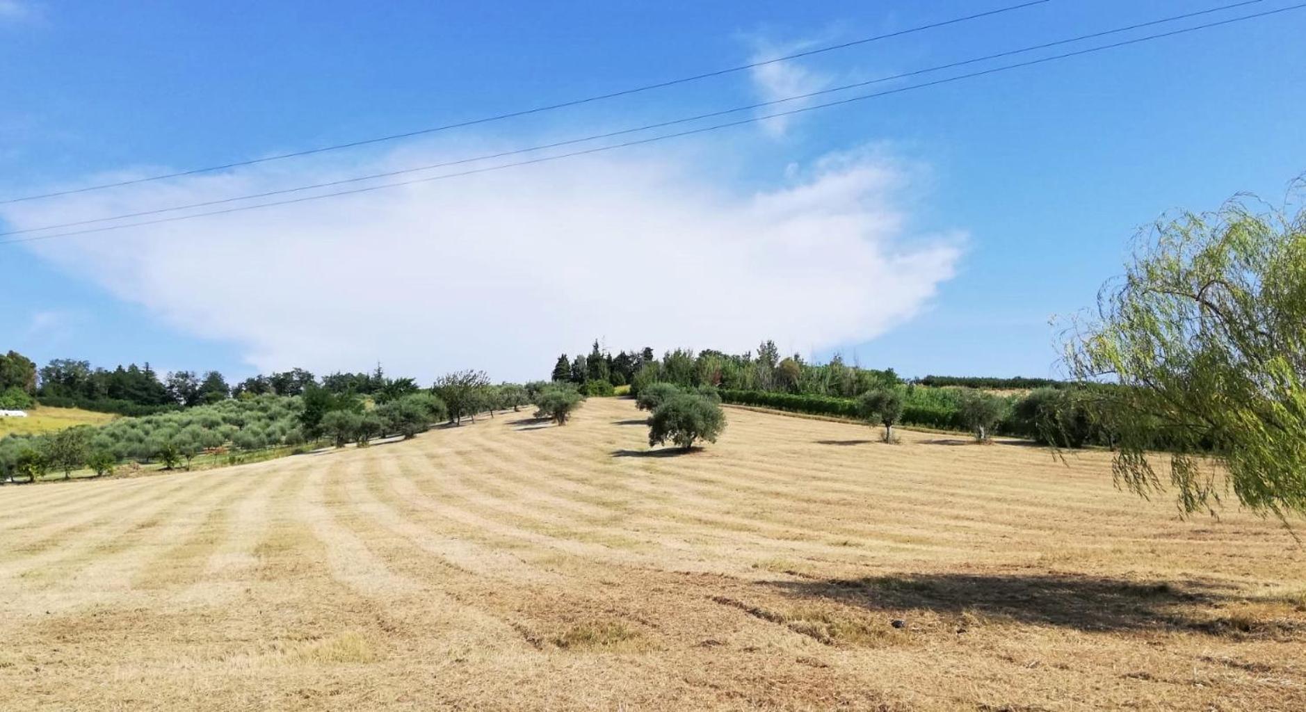 Colle Gelso Guest House Cesena Exterior photo