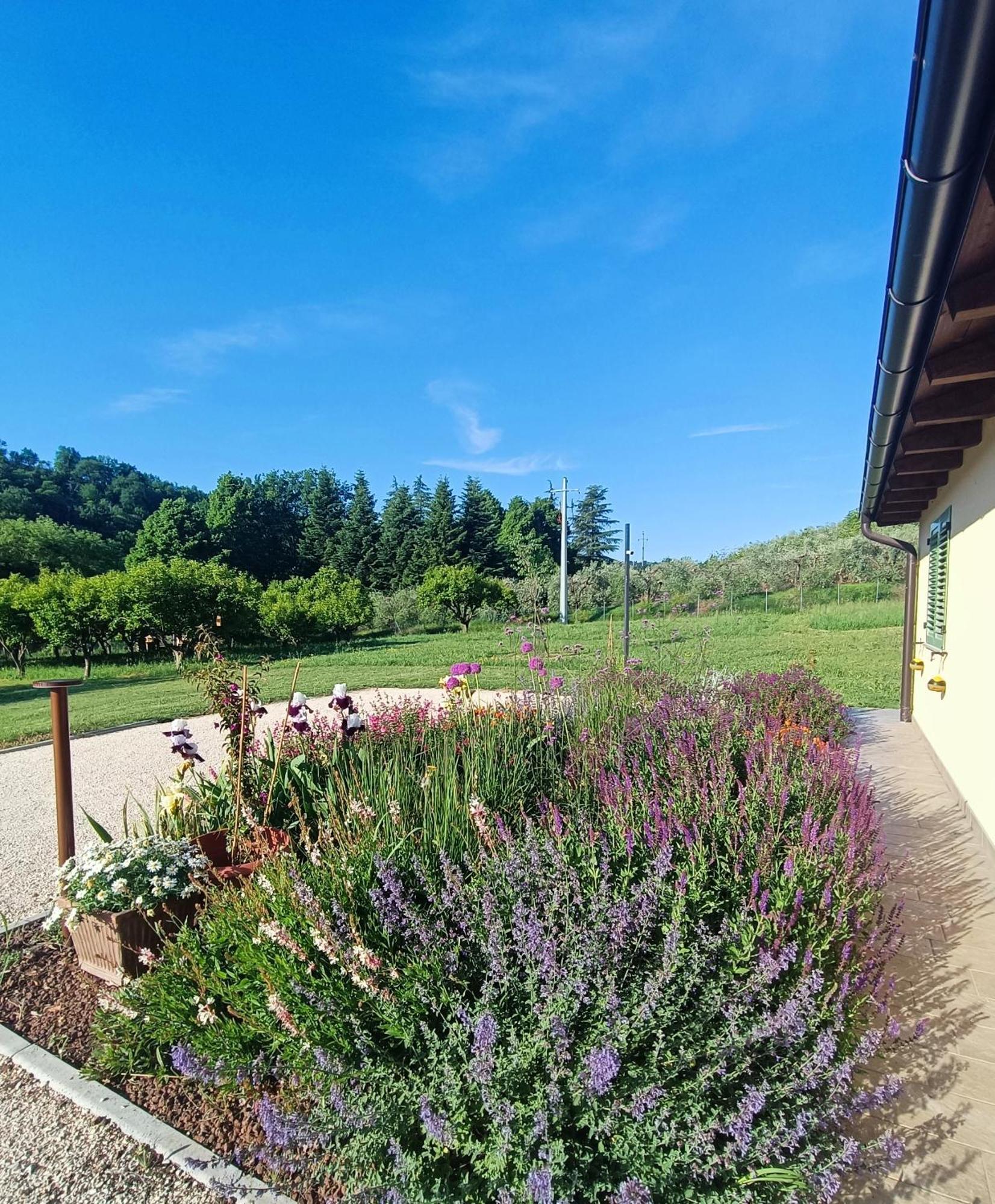 Colle Gelso Guest House Cesena Exterior photo